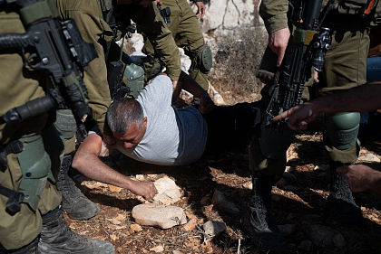 Des soldats israéliens rouent de coups et arrêtent un militant palestinien pendant la récolte des olives